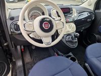 tweedehands Fiat 500 1.0 Hybrid Cult, 1e Eig! NAP! Apk 9-2025! VERWACHT!!