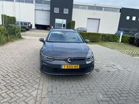 Occasion VW Golf VIII Business 110 PK (80 kW) 2023 Grijs Stationwagen