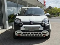 Occasion Fiat Panda Cross Cross 69 PK (50 kW) 2024 Wit Hatchback