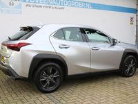 Occasion Lexus UX 250h 184 PK (135 kW) 2024 Grijs SUV