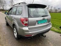 tweedehands Subaru Forester 2.0D Executive | leer| EXPORT