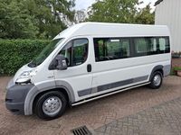 Afbeelding 3