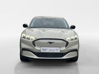 Nieuw Ford Mustang Mach-E 202 kW (276 PK) 2025 Terrain sand SUV