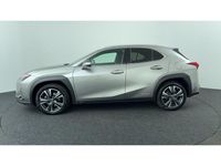 Occasion Lexus UX 184 PK (135 kW) 2022 Grijs SUV