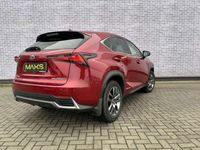 tweedehands Lexus NX300h AWD Business Line | Carplay | Navi | PDC | Camera