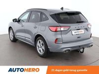 Afbeelding 3