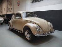 tweedehands VW Beetle (NEW) Beautiful Driver Restored (1967)