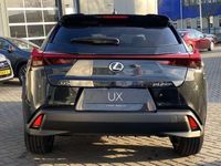 tweedehands Lexus UX 250h Business Line NIEUW-TYPE BLIND SPOT PARK-SENSOREN