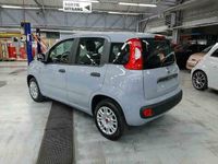 tweedehands Fiat Panda 1.2i Easy (EU6d-TEMP)