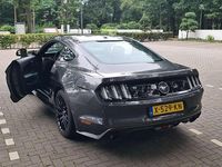 Afbeelding 3