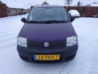 Occasion Fiat Panda 69 PK (50 kW) 2011 Paars (metallic) Hatchback