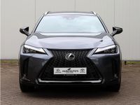 Occasion Lexus UX 250h Sport Line 184 PK (135 kW) 2023 Grijs SUV