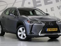 tweedehands Lexus UX 250h/ Achteruitrijcamera/ Navigatie