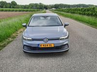 tweedehands VW Golf VIII 1.5 eTSI Business Cruisecontrol | IQ Light | Carplay