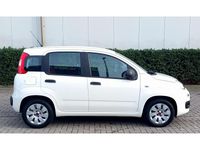 Occasion Fiat Panda 69 PK (50 kW) 2015 Wit Hatchback