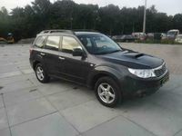 Occasion Subaru Forester 147 PK (108 kW) 2009 Grijs SUV