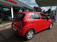 Occasion Kia Picanto 67 PK (49 kW) 2020 Rood Hatchback