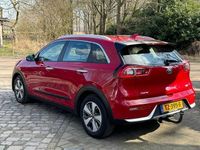 tweedehands Kia Niro 1.6 GDi Hybrid DynamicLine autom ecc1/2leernavig