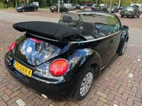 tweedehands VW Beetle Cabriolet 1.6 AIRCO/NETTE ONDERHOUD