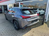 tweedehands Lexus UX 250h Business Line