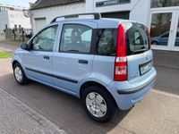 tweedehands Fiat Panda 1.1 Active / City-Steering / 96.351km NAP