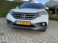 Afbeelding 3