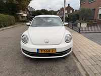 Afbeelding 3