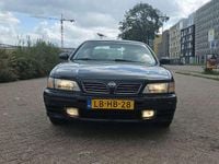 Afbeelding 3