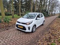 Occasion Kia Picanto Comfort 67 PK (49 kW) 2020 Wit Hatchback