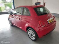 tweedehands Fiat 500 0.9 TwinAir Turbo Young