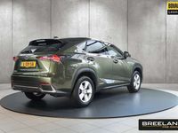 tweedehands Lexus NX300h AWD Executive Line | Panoramadak