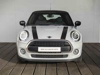 tweedehands Mini Cooper 3-deurs Chili + Business