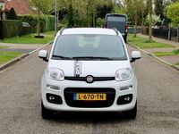 tweedehands Fiat Panda 1.2 Lounge | AIRCO | TREKHAAK | ZEER MOOIE GOED ON