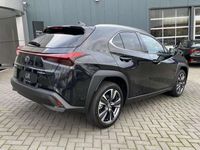 tweedehands Lexus UX 250h Business Line NIEUW-TYPE BLIND SPOT PARK-SENSOREN