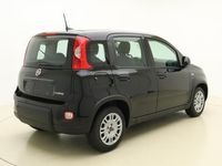 tweedehands Fiat Panda 1.0 Hybrid | 5-zits | Climate control | Parkeersensoren achter | Snel leverbaar! |