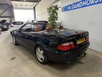 Afbeelding 3