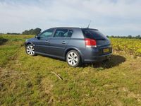 tweedehands Opel Signum 2.2-16V Executive