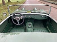 Occasion Austin Austin-Healey Sprite 64 PK (47 kW) 1959 Groen