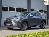 Occasion Lexus NX350h Business Edition 139 kW (190 PK) 2024