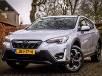 Occasion Subaru XV Premium 2025 Grijs SUV