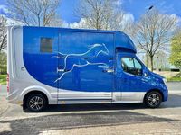 tweedehands Renault Master 2.3 dCi Roelofsen Paardenauto Hengstenuitv. 180 PK!!!