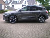 Afbeelding 2