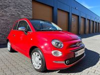 tweedehands Fiat 500 1.2 Pagnotta |Panno|Navi|PDC|Airco|Xenon Led|