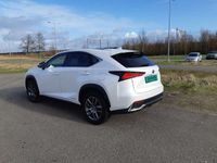 tweedehands Lexus NX300h AWD LuxeryLine 10jr garantie trekhaak panodak