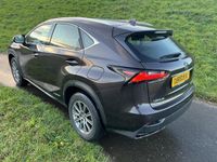 tweedehands Lexus NX300h Business Line GARANTIE