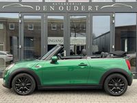 tweedehands Mini Cooper Cabriolet 1.5 Salt Automaat Climate / Blackline / 2020