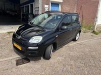 Afbeelding 2