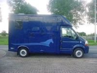 tweedehands Renault Master 2.5 DCI 2-Paards MTM Paardenauto