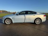 Occasion Jaguar XF 163 PK (119 kW) 2014 Blauw Sedan