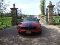 tweedehands Ford Mustang 4.0 V6 206PK CABRIOLET - AIRCO - LEDER - AUTOMAAT